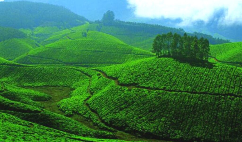 Munnar