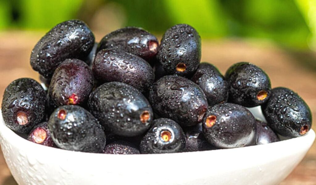 Jamun