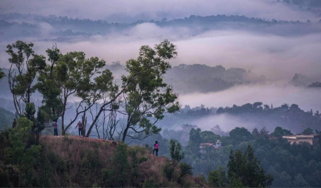 Valentine Week : Coorg (Image source Google)