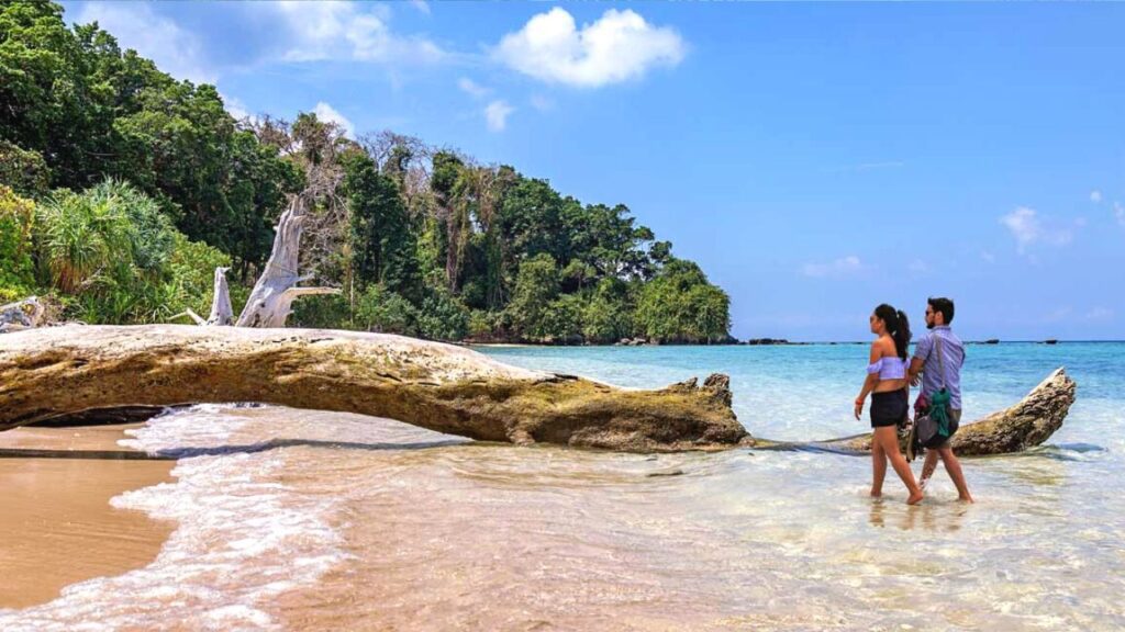 Andaman and Nicobar islands