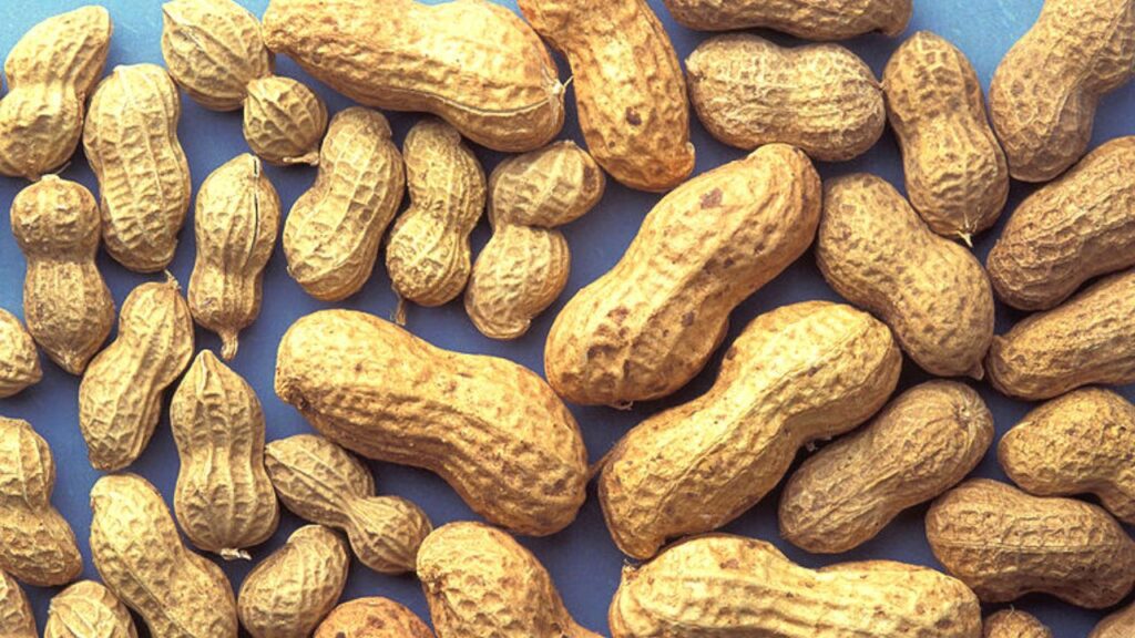 Peanut Benefits