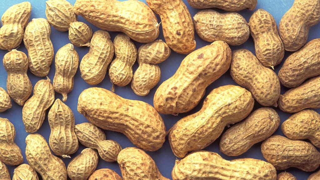 Peanut Benefits