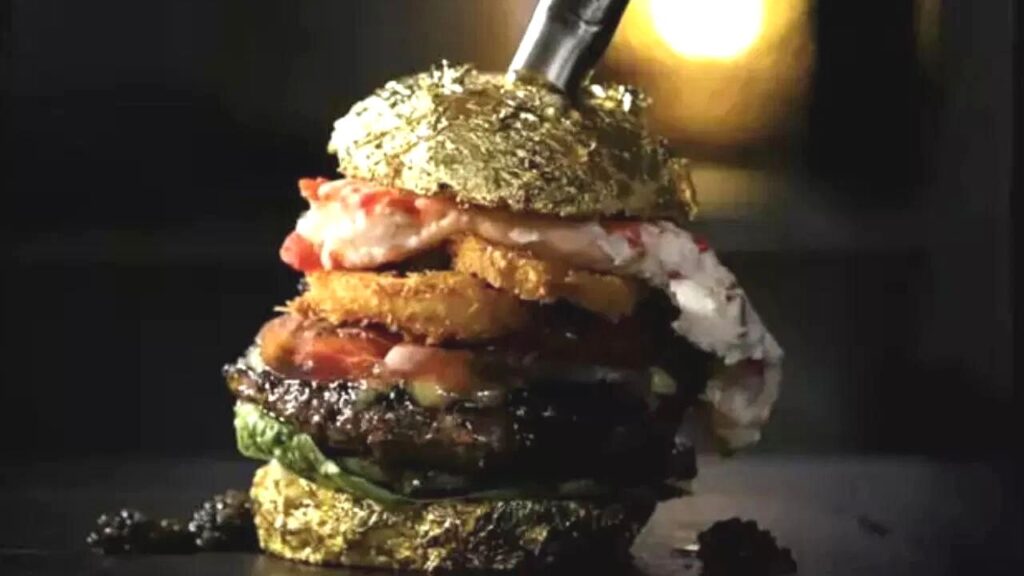 Burger(Image source-Google)(Expensive Junk Food)