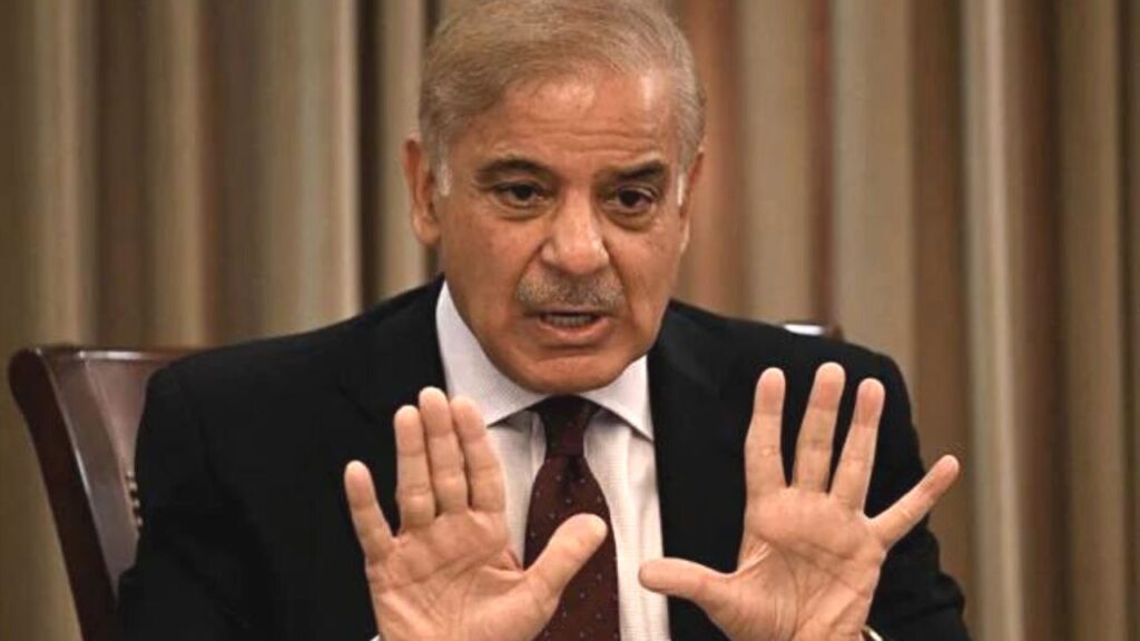 Pakistan PM Shehbaz Sharif (Image source-Google)