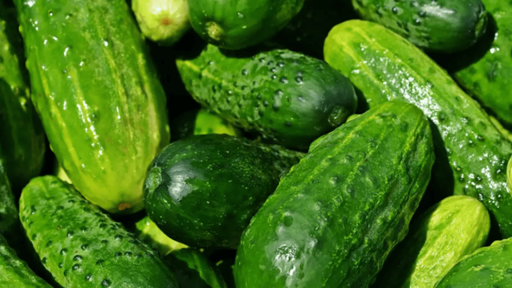 Cucumber Bitterness