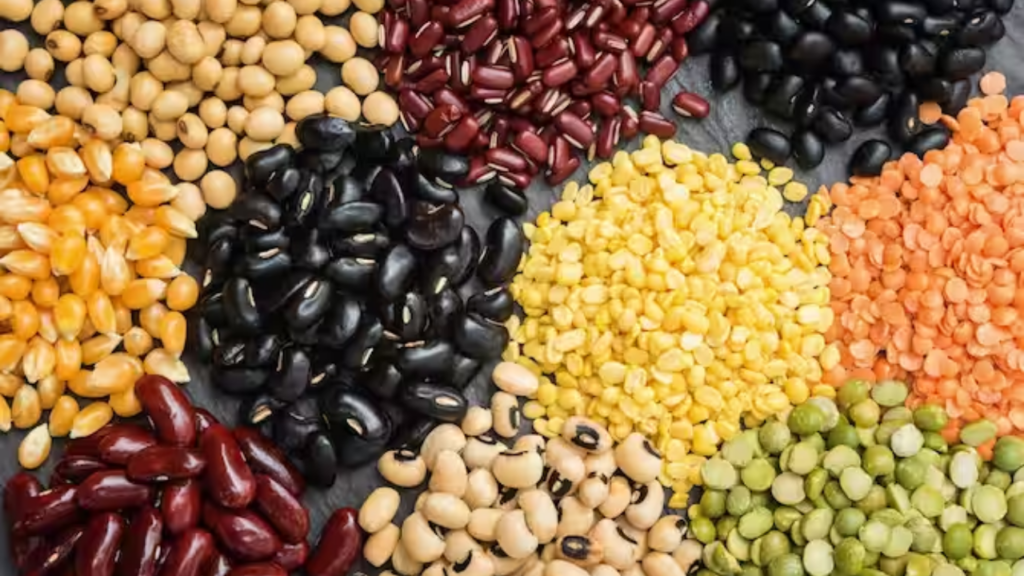 Pulses for Uric Acid