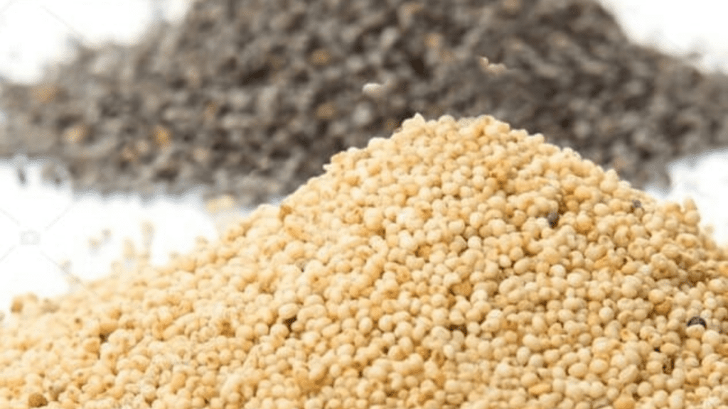 Poppy Seeds Benefits