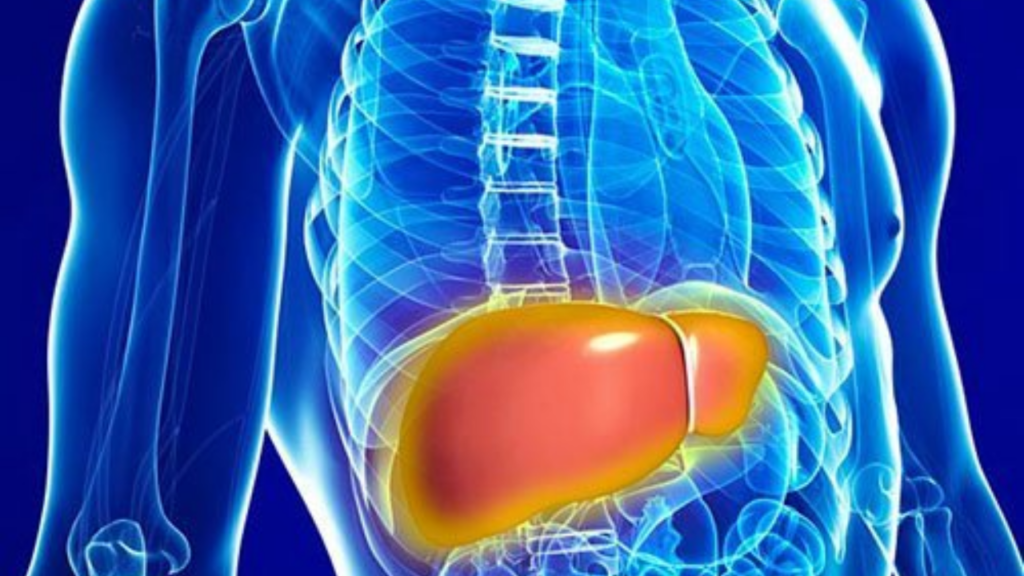 Fatty Liver Care