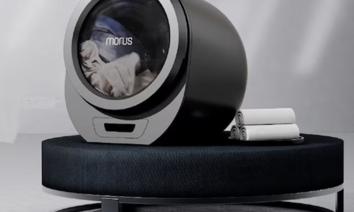 morus dryer