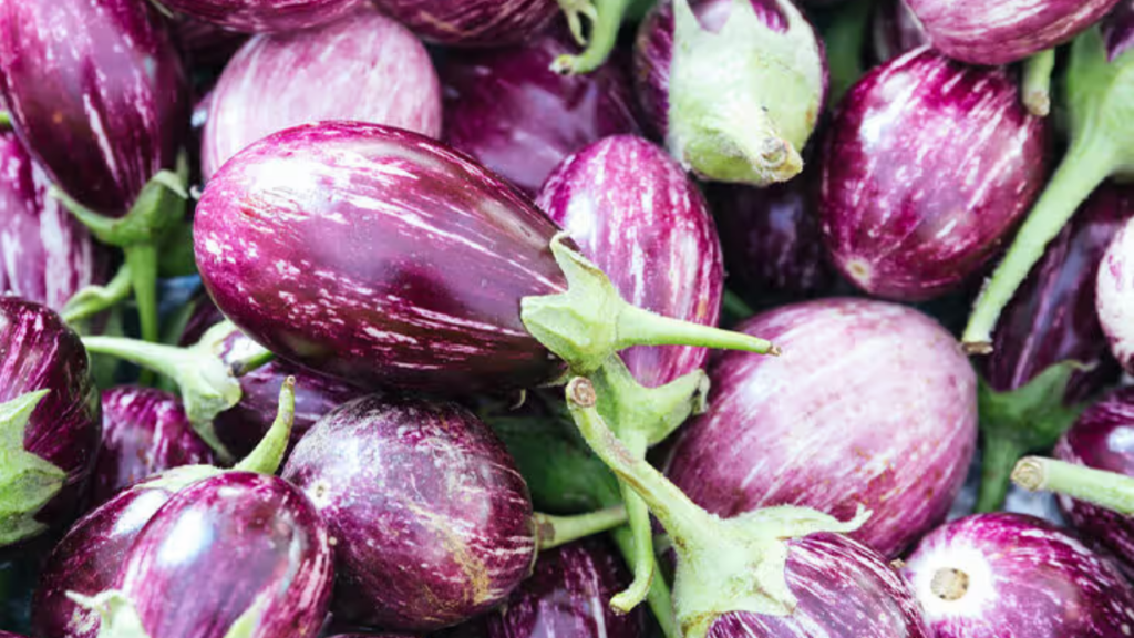 Brinjal Benefits