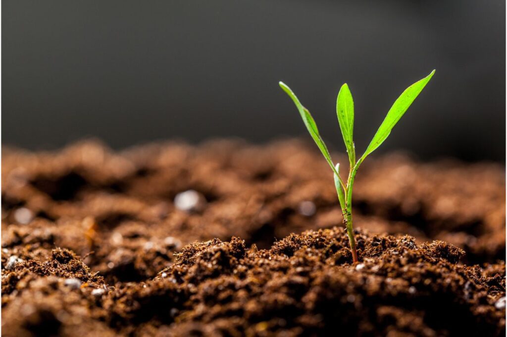 soil health(Business Idea)