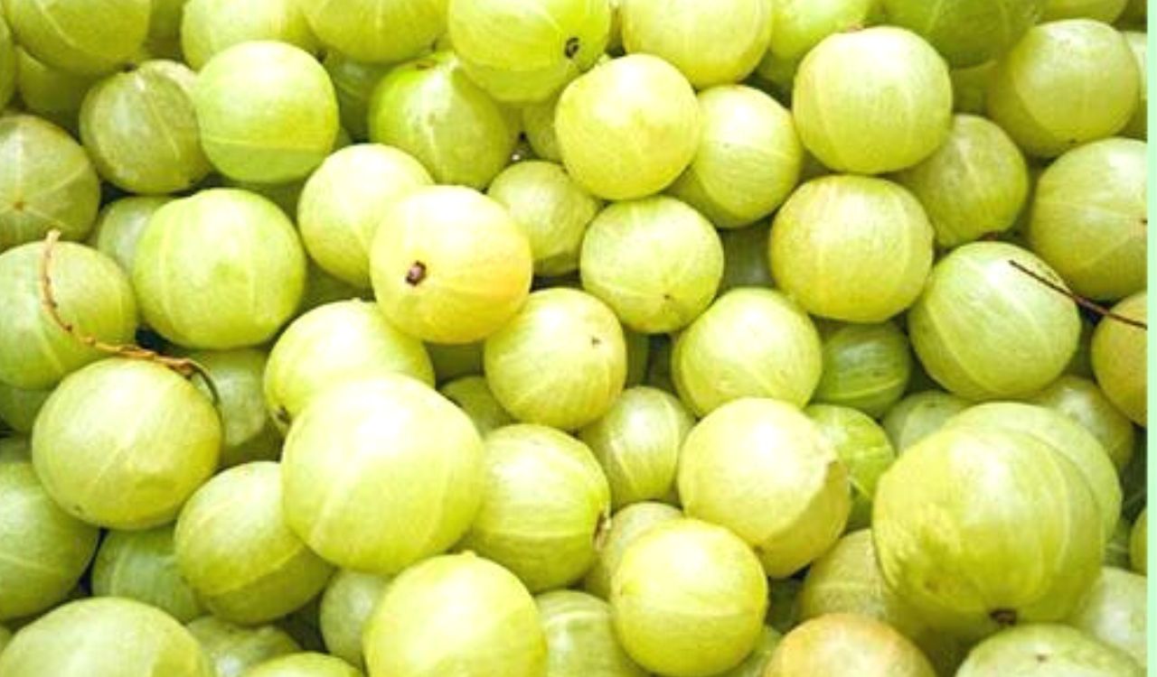 Amla Side Effects