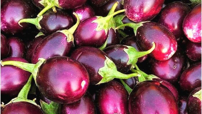 Health Tips: Brinjal Side Effects