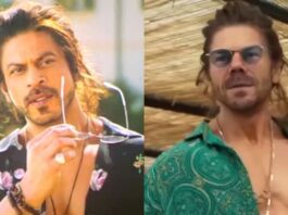 India vs Australia: David warner as shah rukh khan