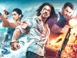 Pathan Box Office Hit