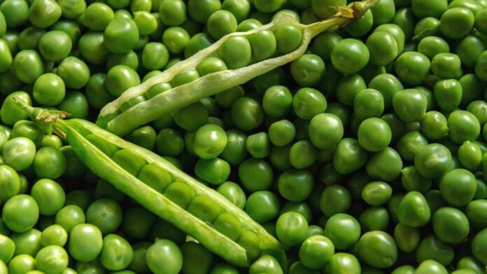 Pea peel