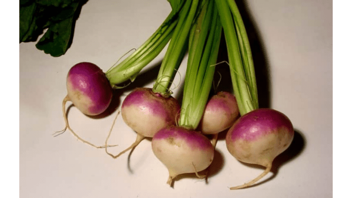 Turnips