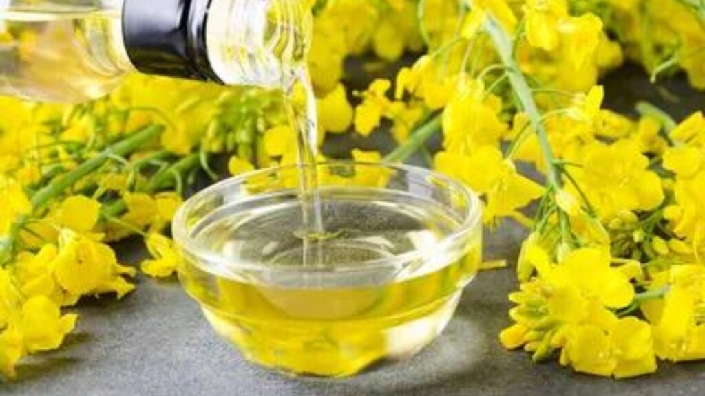 Canola oil 