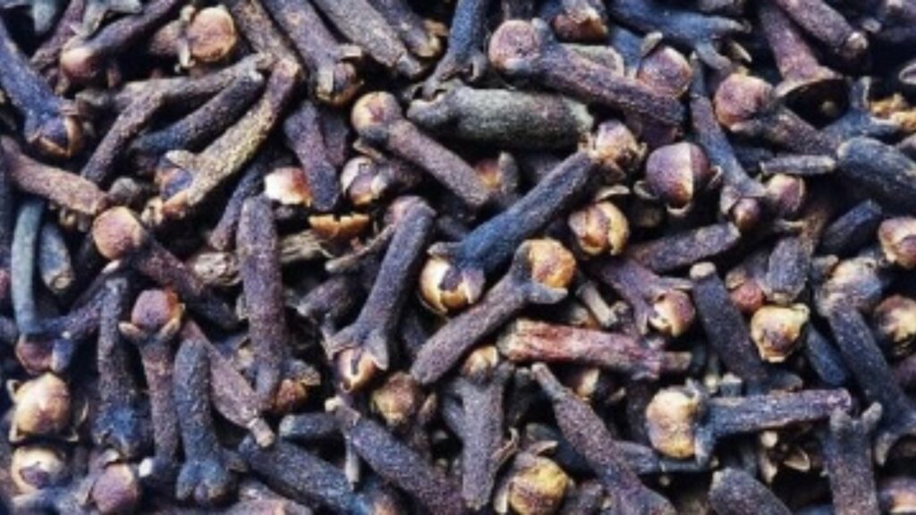 Cloves Benefits 