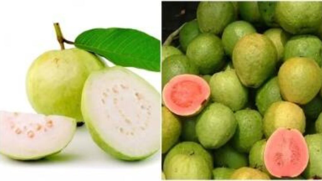 Guava benefits 