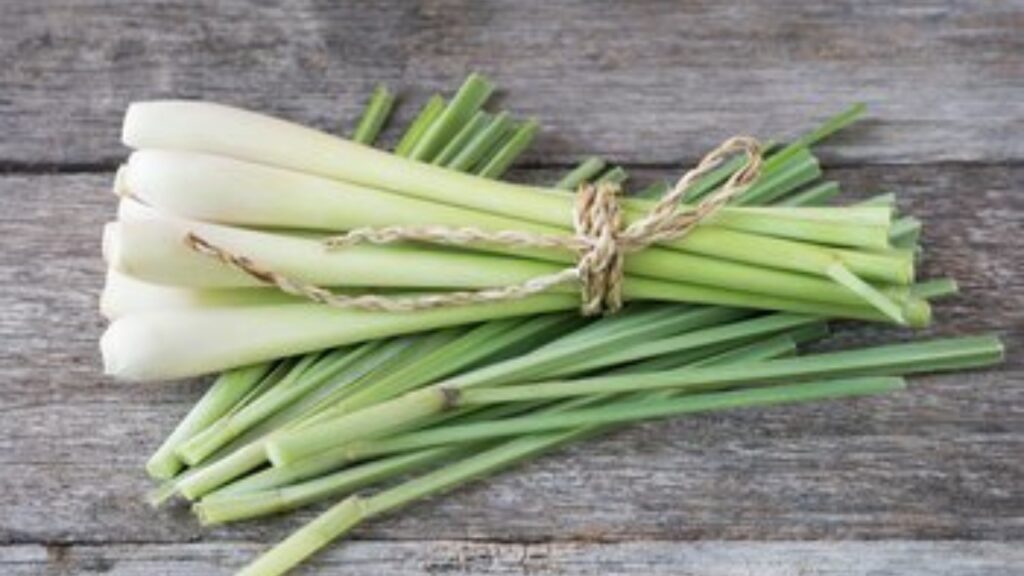 Lemon grass benefits 