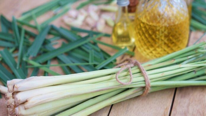 Lemon grass benefits