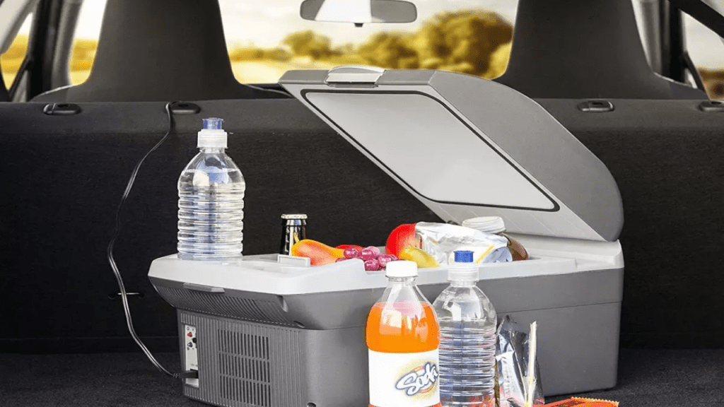 Car Mini Fridge