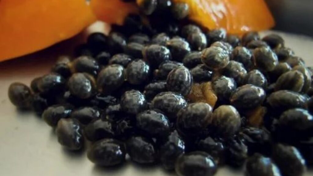 Papaya Seeds Benefits 