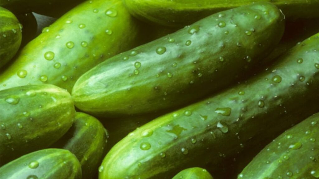 Cucumber benefits 
