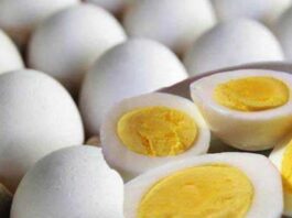 Egg Benefits