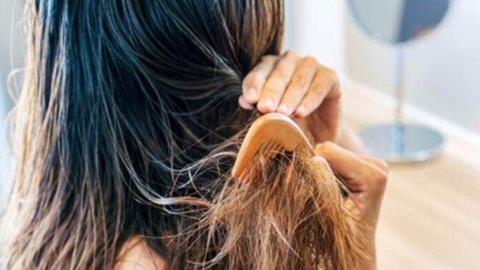 Summer hair care tips