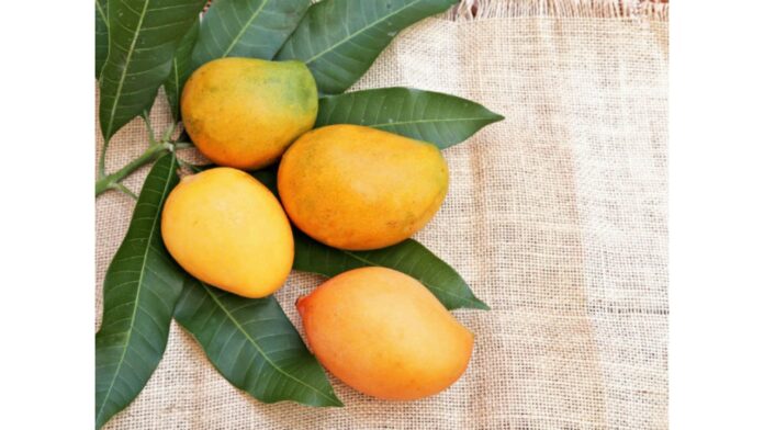 Mango Side Effects