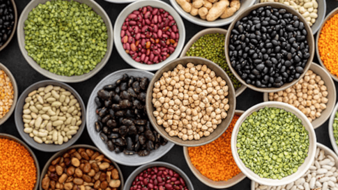 Pulses for Uric Acid