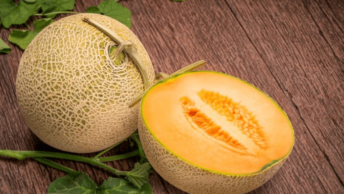 Benefits of Muskmelon