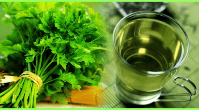 Coriander Juice Recipe