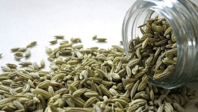 Fennel Seeds Benefits