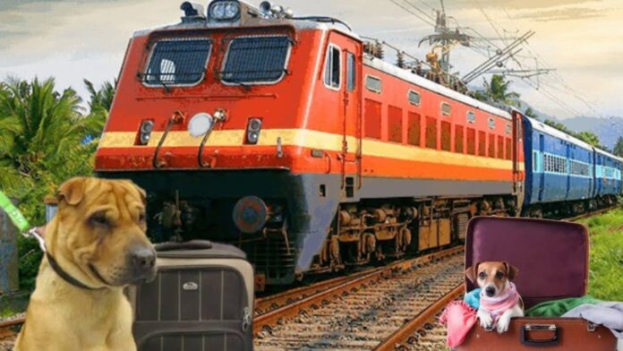 New Rule Railways