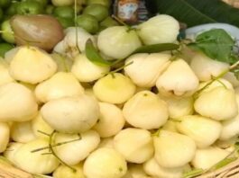 White Jamun Benefits