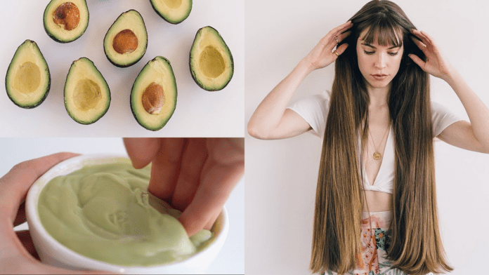Avocado for Hair