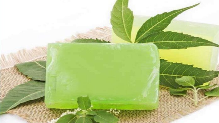 Neem Soap at home