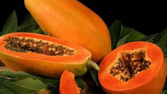 Papaya for health