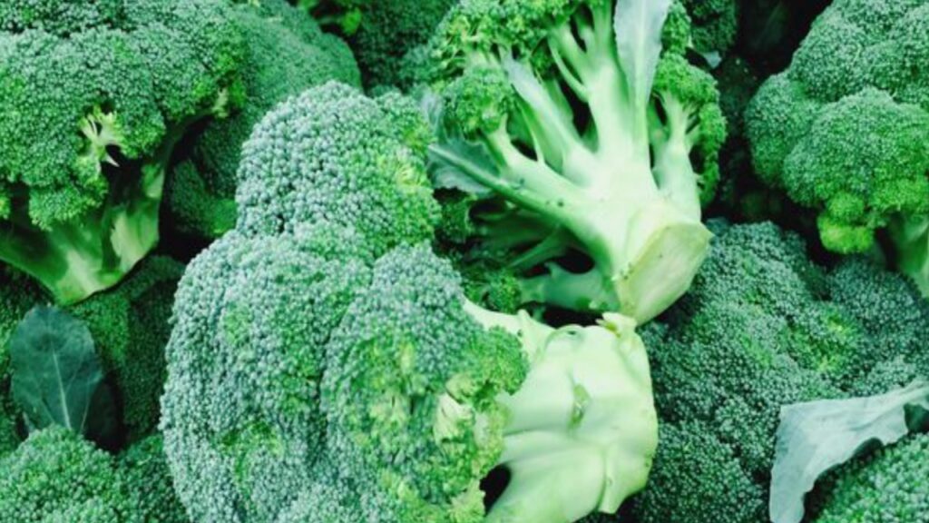 Broccoli Recipe 