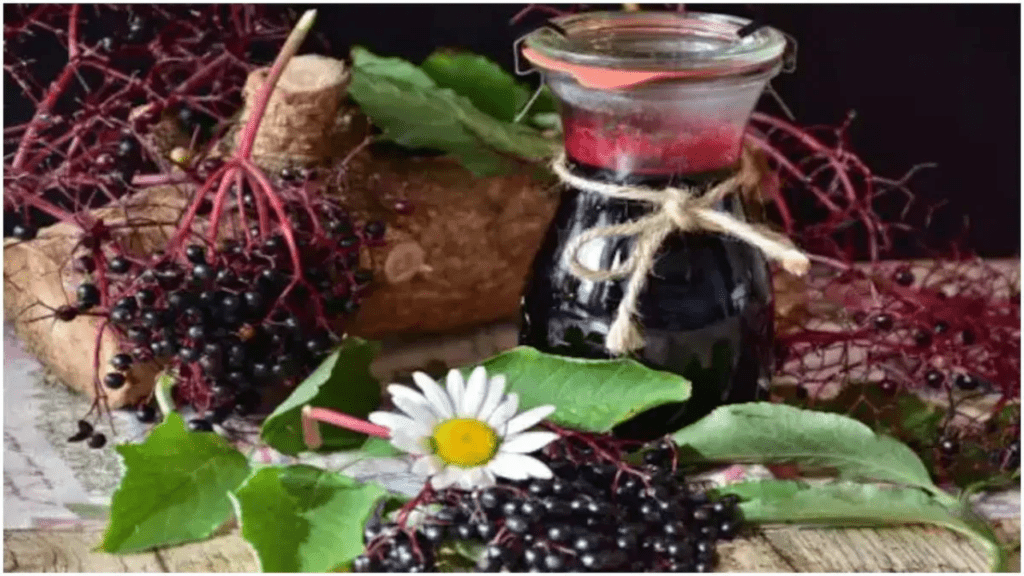 Jamun Vinegar Benefits