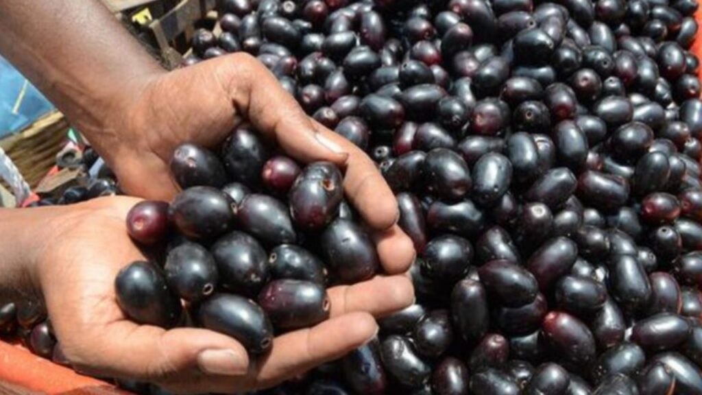 Jamun Skin Benefits 