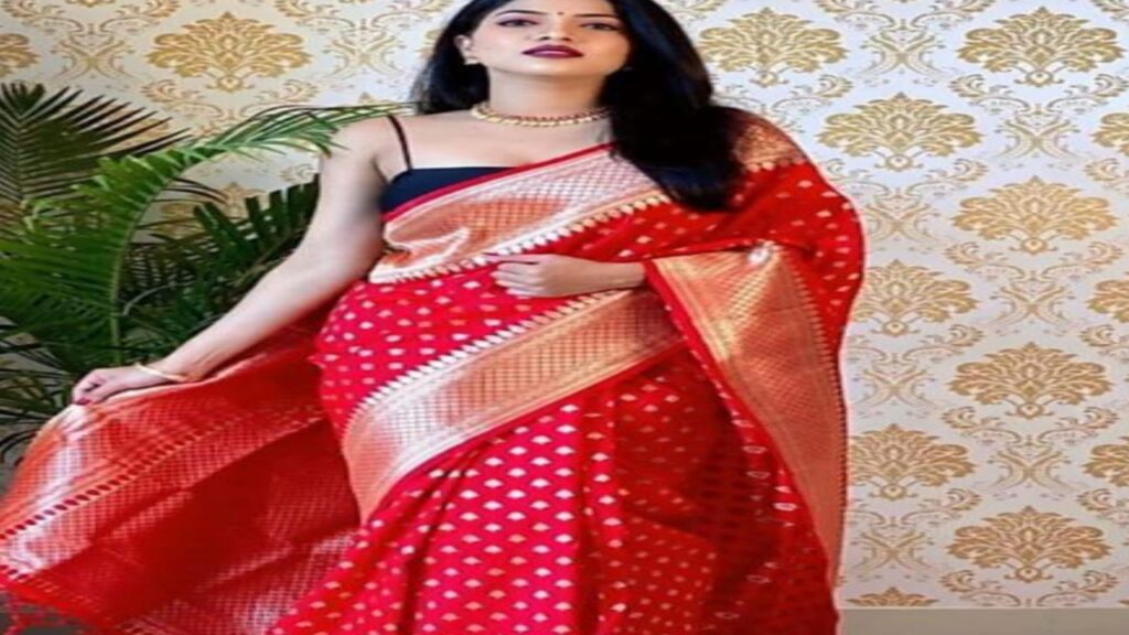 Saree Designs For Teej 