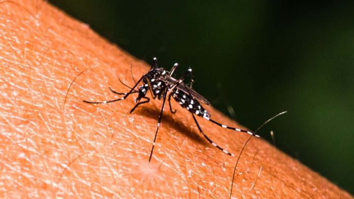 Relief From Dengue