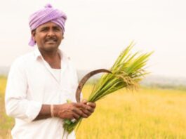 Farmer Scheme