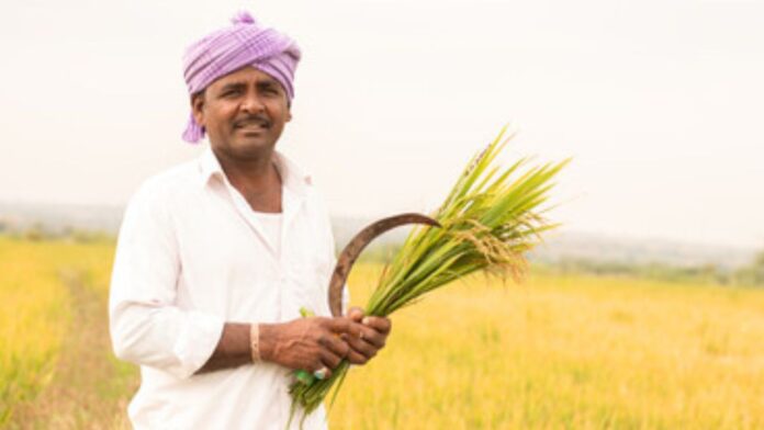 Farmer Scheme