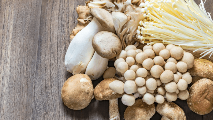 Mushroom Benefits