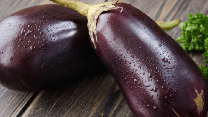 Brinjal Benefits